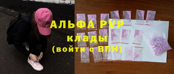 ГАЛЛЮЦИНОГЕННЫЕ ГРИБЫ Инсар