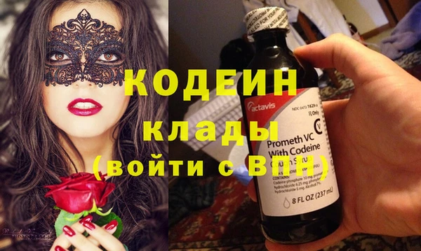 ГАЛЛЮЦИНОГЕННЫЕ ГРИБЫ Инсар