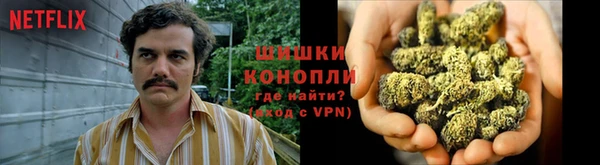 ГАЛЛЮЦИНОГЕННЫЕ ГРИБЫ Инсар