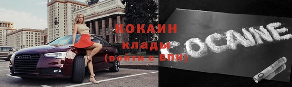 ГАЛЛЮЦИНОГЕННЫЕ ГРИБЫ Инсар