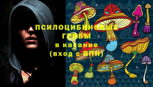ГАЛЛЮЦИНОГЕННЫЕ ГРИБЫ Инсар