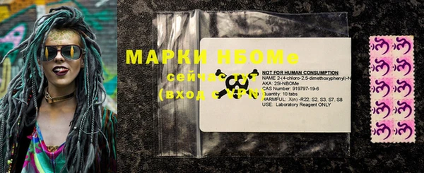ГАЛЛЮЦИНОГЕННЫЕ ГРИБЫ Инсар