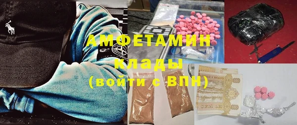 ГАЛЛЮЦИНОГЕННЫЕ ГРИБЫ Инсар