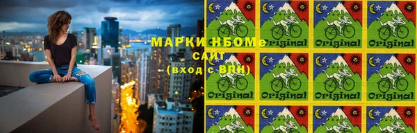 ГАЛЛЮЦИНОГЕННЫЕ ГРИБЫ Инсар