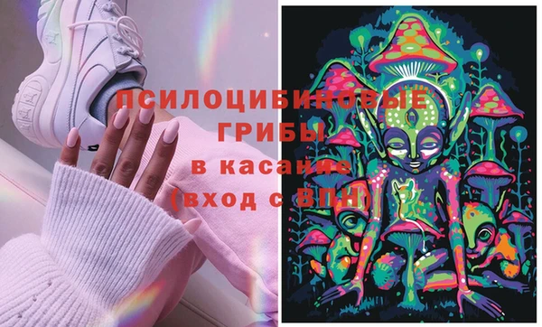 гашиш Инта