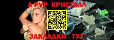 стафф Гай