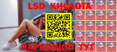 стафф Гай