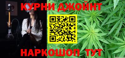 стафф Гай