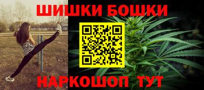 стафф Гай