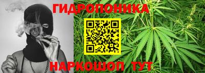 стафф Гай