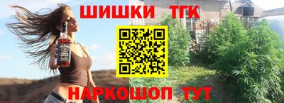 spice Гатчина