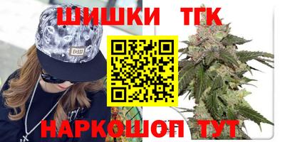 spice Гатчина