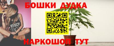 spice Гатчина