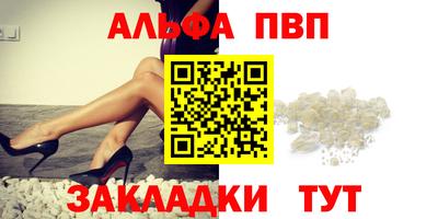 стафф Гай