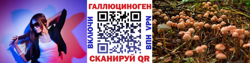 мориарти какой сайт  kraken ТОР  Мценск  Псилоцибиновые грибы Psilocybine cubensis 