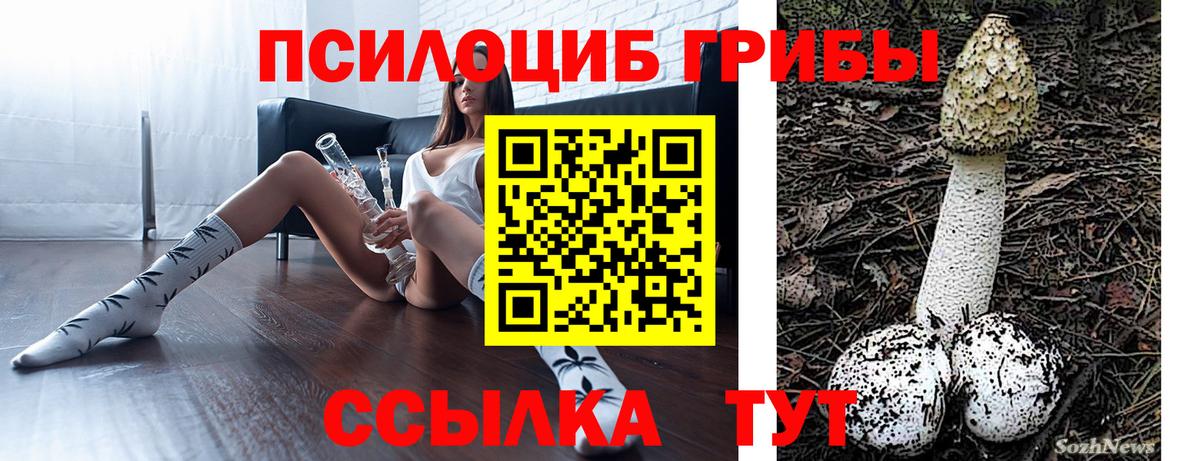 Мценск  Псилоцибиновые грибы мицелий  Галлюциногенные грибы Magic Shrooms  Вход с VPN 