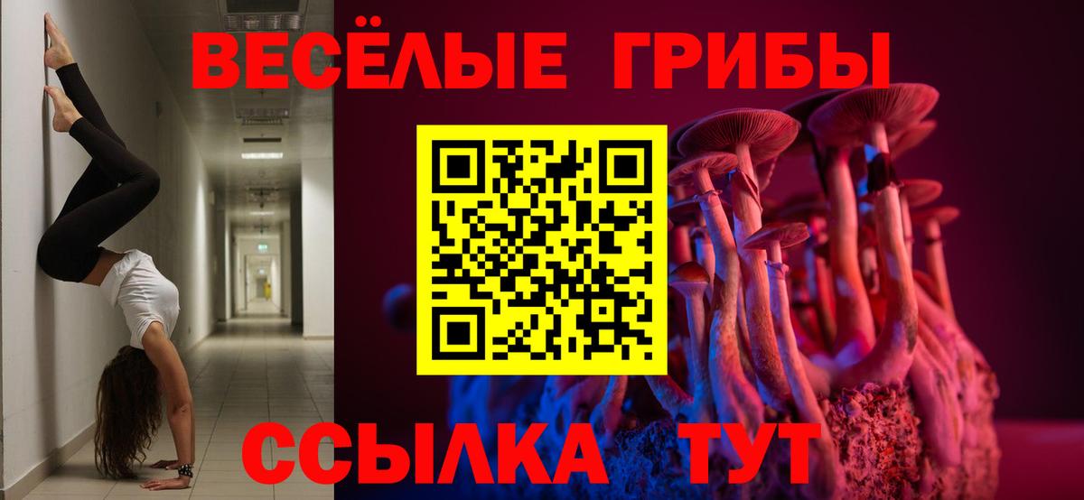 Псилоцибиновые грибы мицелий Мценск